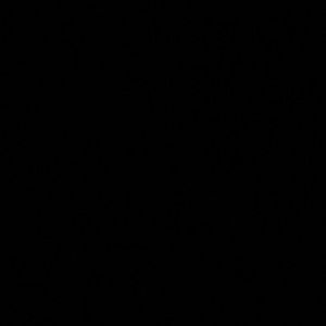 Meet your Posher, Lizbeth